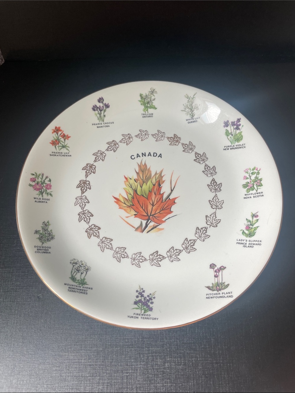 Vintage Alfred Meakin Souvenir Canada Plate Wild Flowers Gold Rim